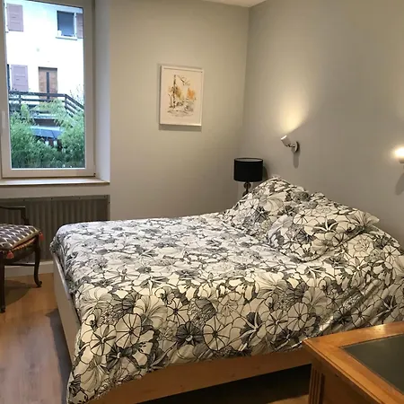 Chambre Sallanches فندق مبيت وإفطار سالونش